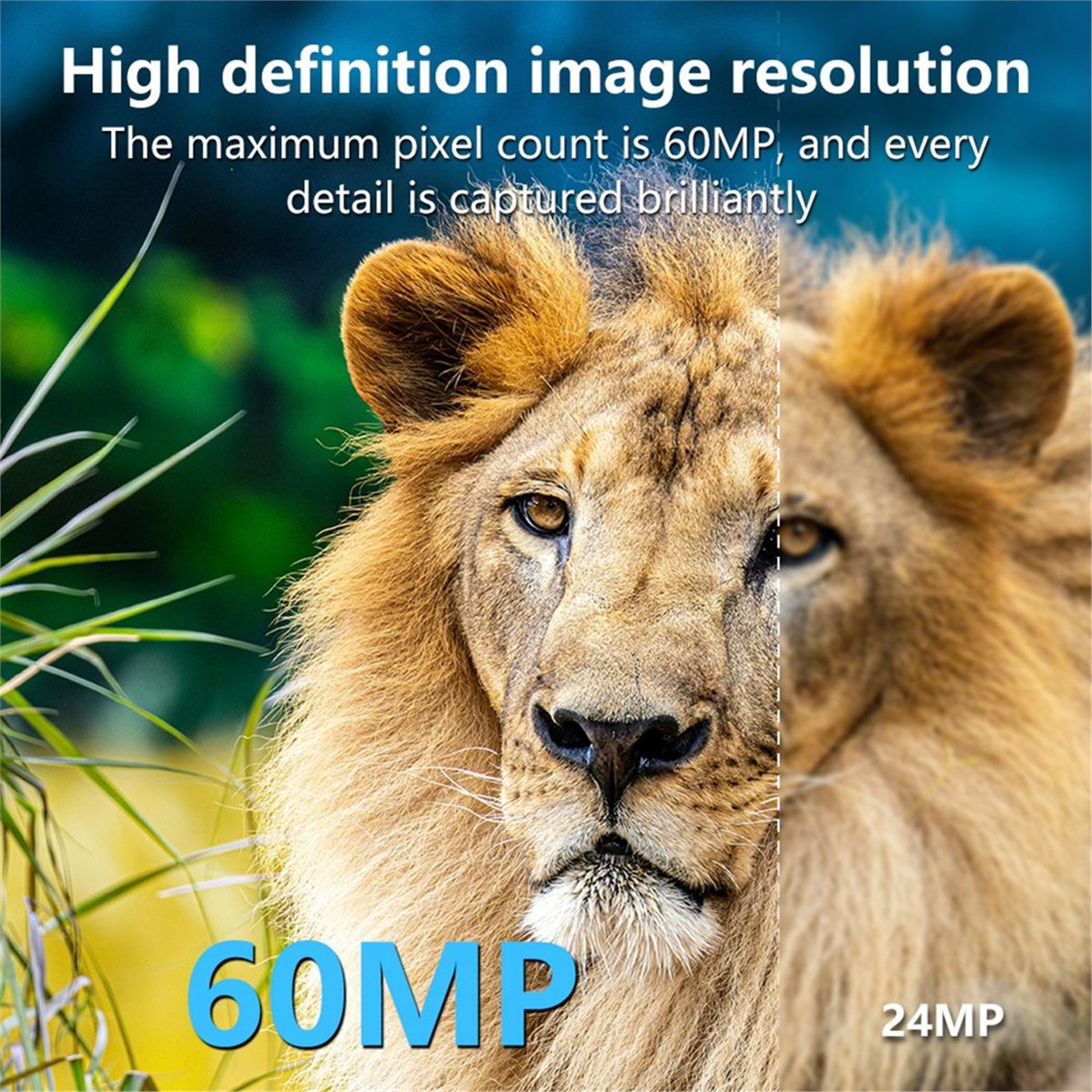 Outdoor Hunting Camera Wifi - Caméra de chasse AS62 8K HD