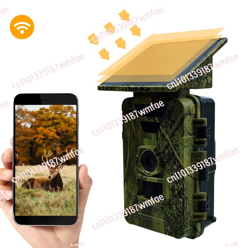 Outdoor Hunting Camera Wifi - Caméra de chasse à la faune,
