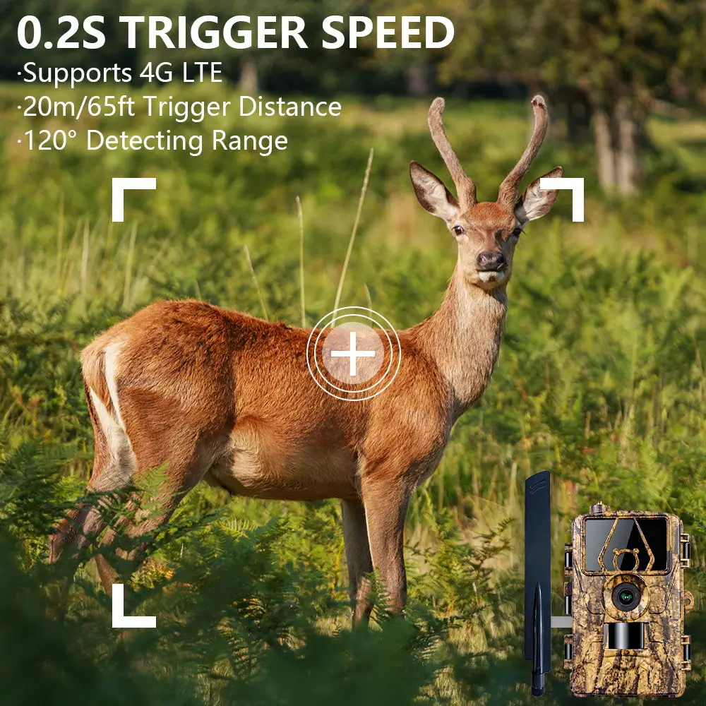 Caméra infrarouge pour la surv - Outdoor Hunting Camera Wifi avis et prix