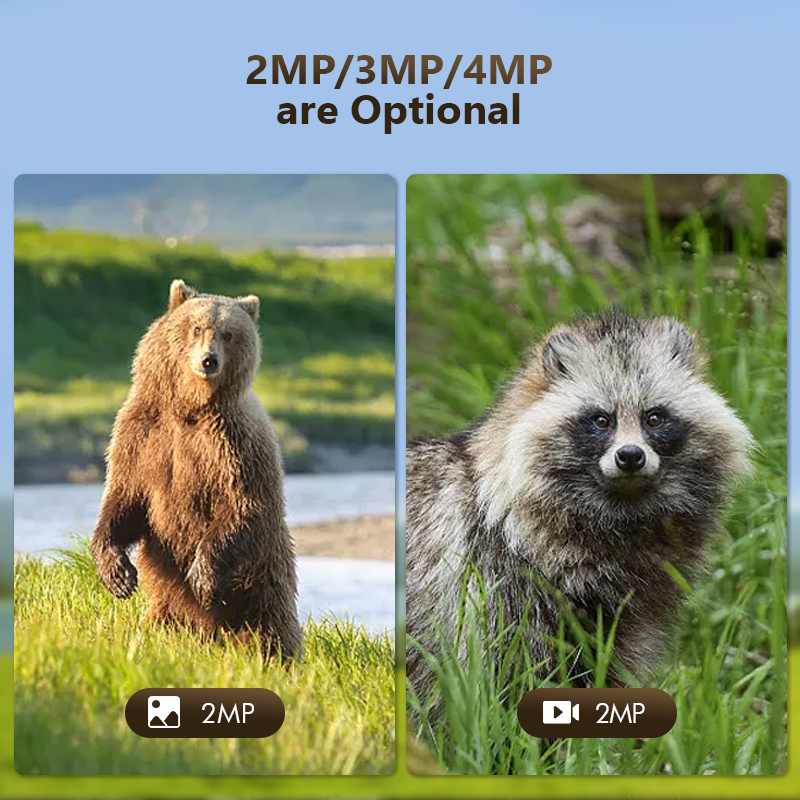 Caméra de jeu de piste de chas - Outdoor Hunting Camera Wifi avis et prix