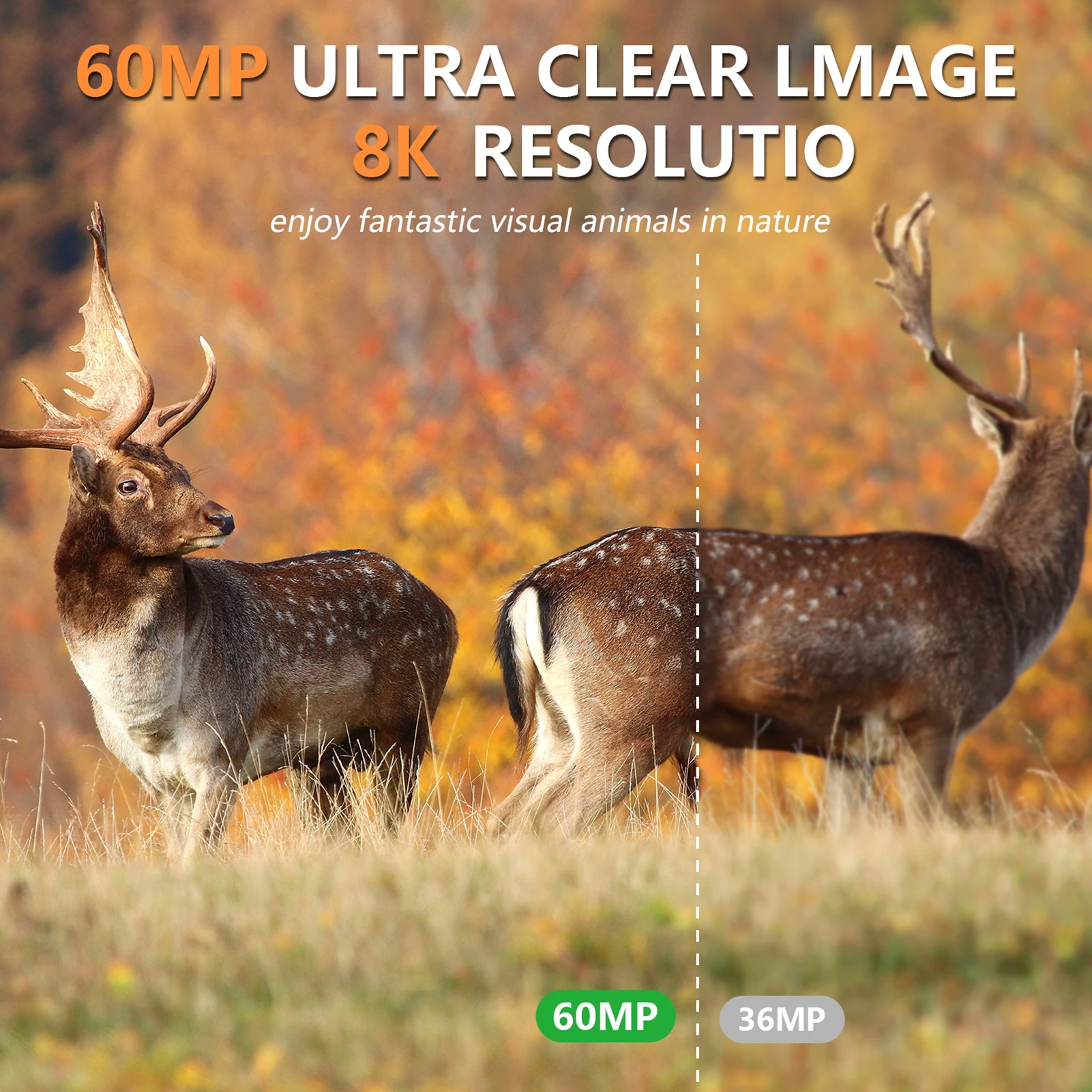 Caméra de chasse solaire 8K 60 - Outdoor Hunting Camera Wifi avis et prix