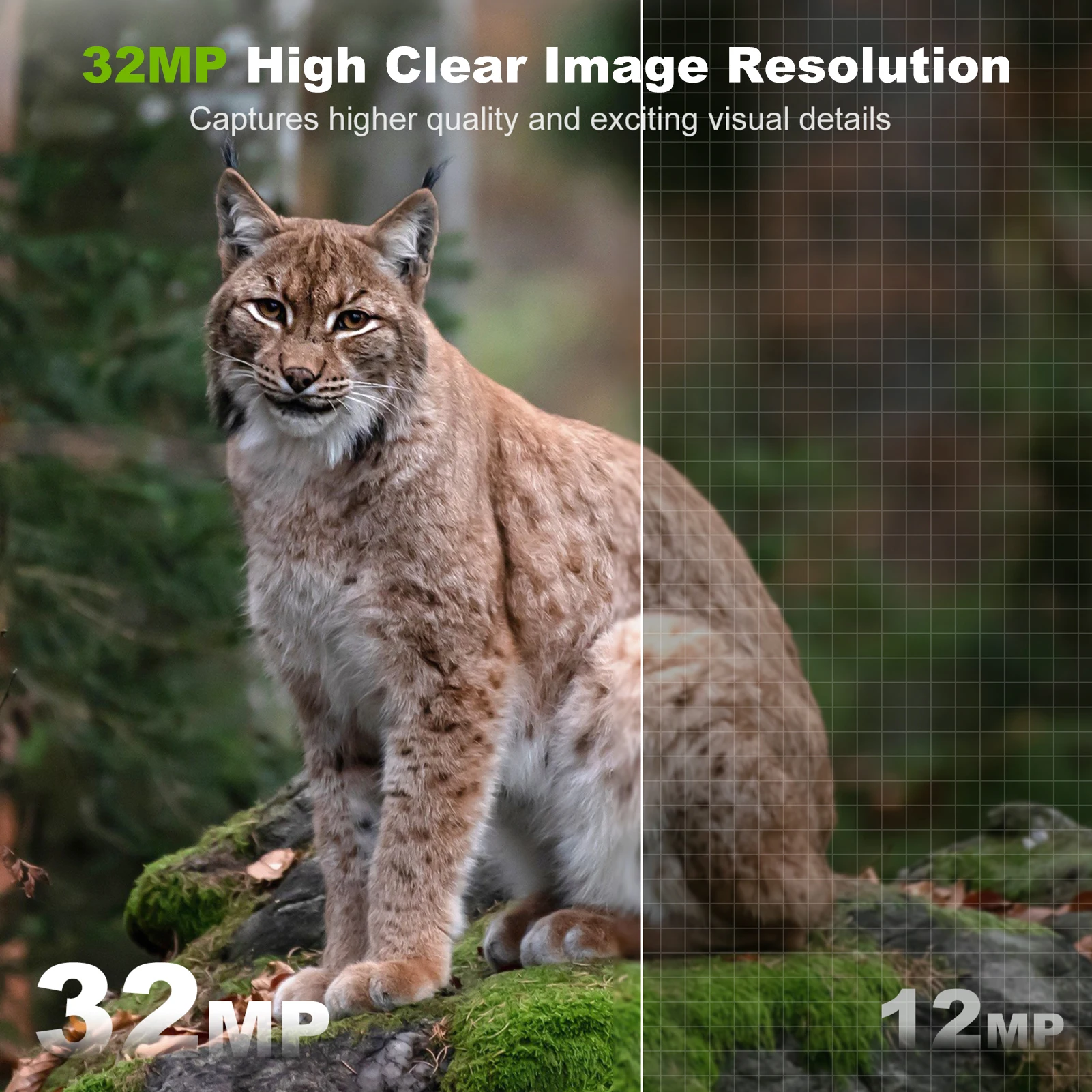 Caméra solaire extérieure sans - Outdoor Hunting Camera Wifi avis et prix